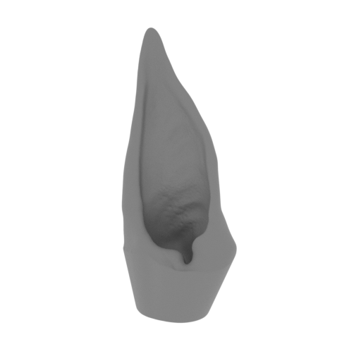 3_ear_L_FDM(repaired).stl