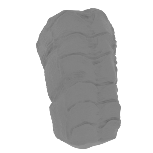 20_tail_2_FDM(repaired).stl