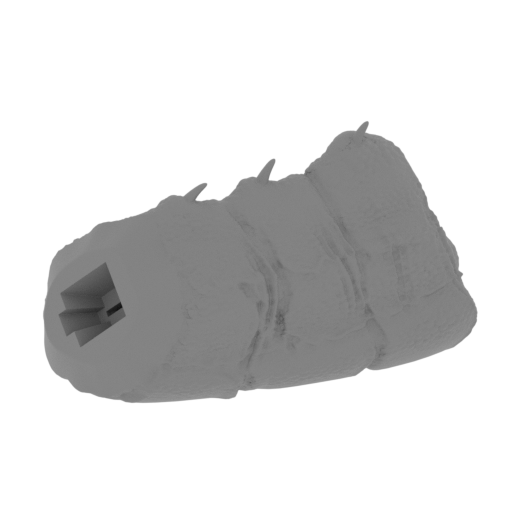 21_tail_3_FDM(repaired).stl