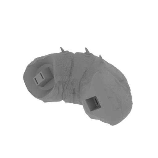 22_tail_4_FDM(repaired).stl