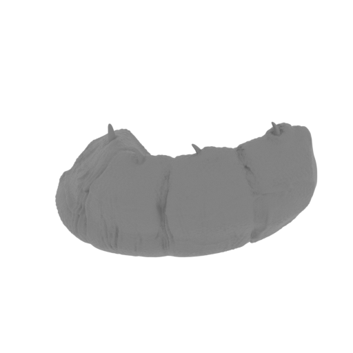 23_tail_5_FDM(repaired).stl