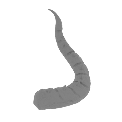 28_tail_10_FDM(repaired).stl