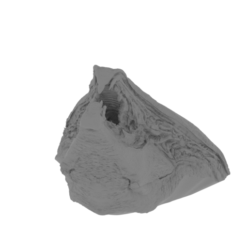 1_head_FDM(repaired).stl