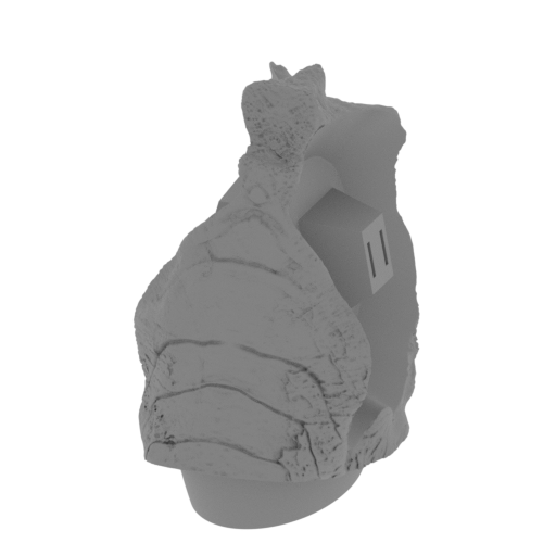 3_pelvis_FDM(repaired) (Cut 2).stl