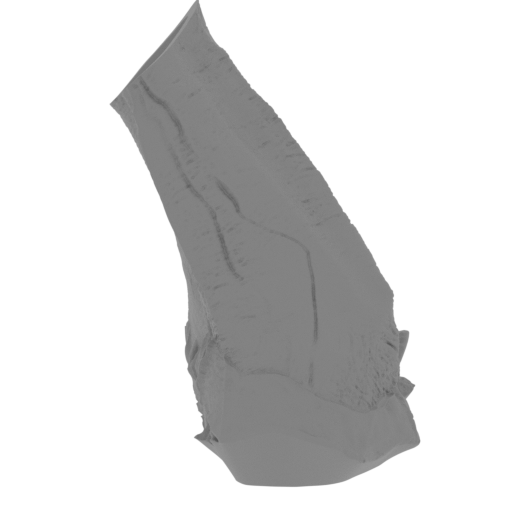 10_leg_front_R_1_FDM(repaired).stl