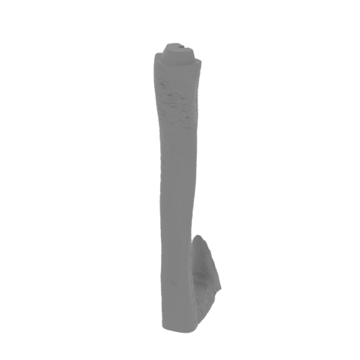 15_leg_front_L_3_FDM(repaired).stl