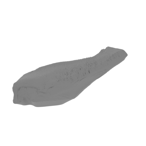 25_leg_rear_L_1_FDM(repaired).stl