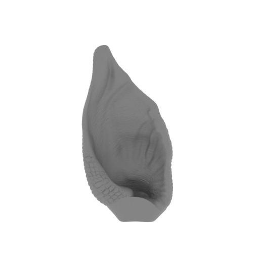 3_ear_L_FDM(repaired).stl