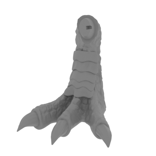 14_foot_R_FDM(repaired).stl