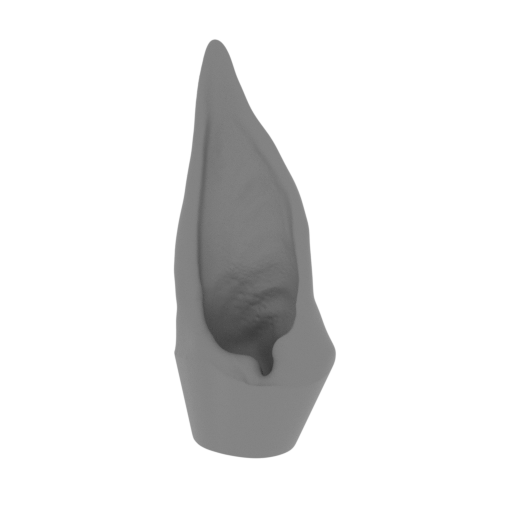 3_ear_L_FDM(repaired).stl