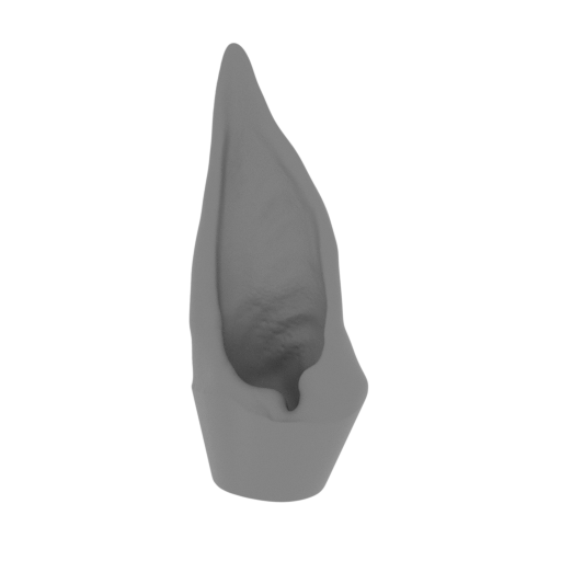 3_ear_L_FDM(repaired).stl