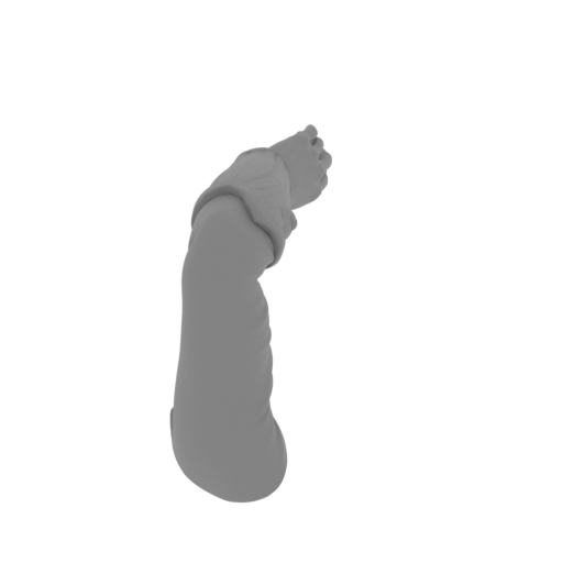 115_coraline_arm_L_FDM(repaired).stl