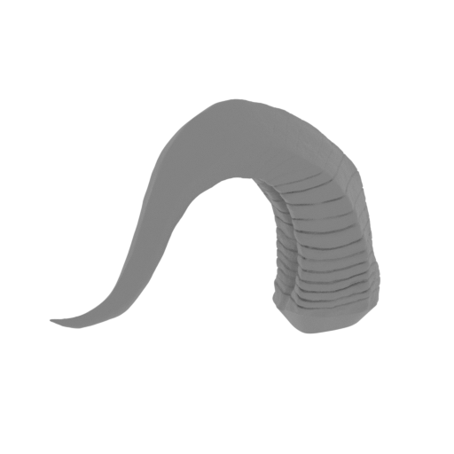 2_horn_R_FDM(repaired).stl