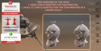 3D printable models of young Anakin Skywalker's head in two FDM versions, displayed with details.