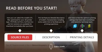 Young Anakin Skywalker 3D print model guide with source, description, and printing details tabs.