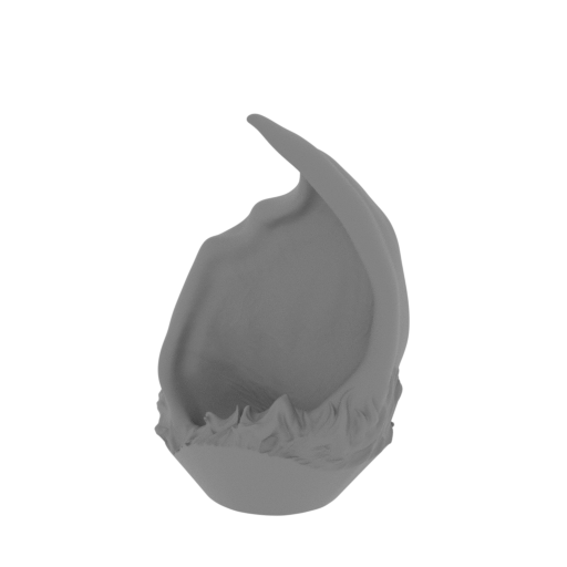 2_ear_R_FDM(repaired).stl