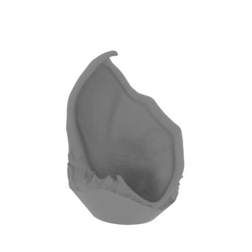3_ear_L_FDM(repaired).stl