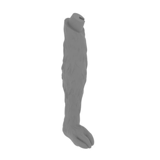 21_dog_Max_front_paw_R_FDM(repaired).stl