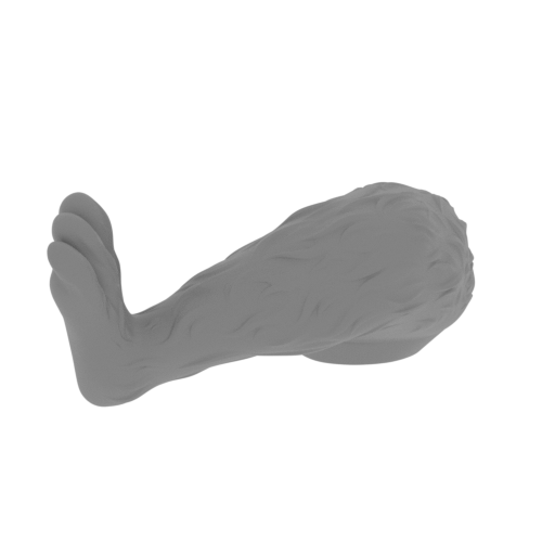 23_dog_Max_rear_paw_R_FDM(repaired).stl