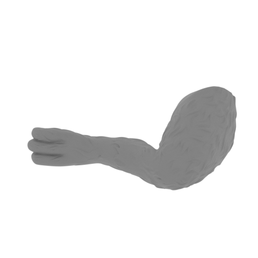 24_dog_Max_rear_paw_L_FDM(repaired).stl