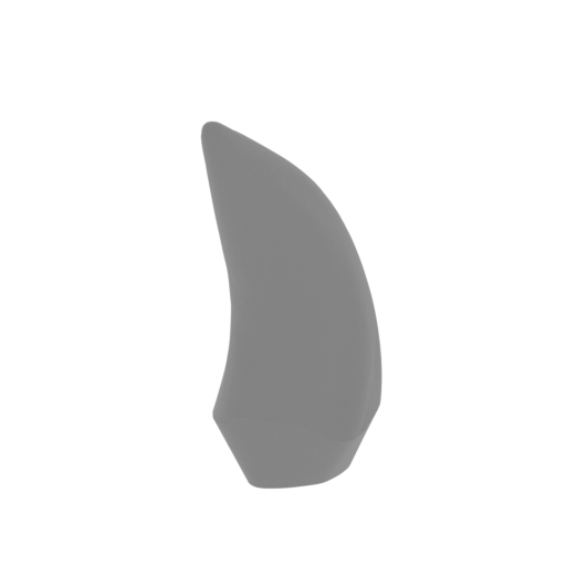 6_tooth_2_R_FDM(repaired).stl