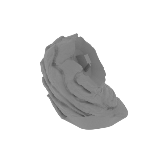 17_tail_5_FDM(repaired).stl