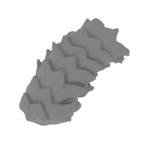 18_tail_6_FDM(repaired).stl