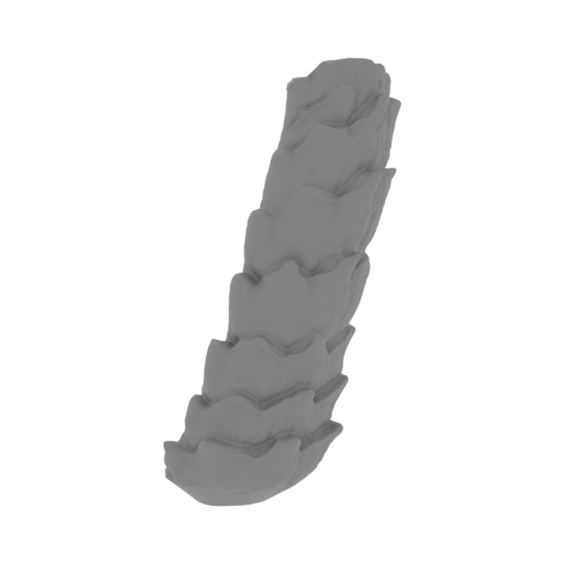 19_tail_7_FDM(repaired).stl