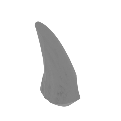 39_spike_1_R_FDM(repaired).stl