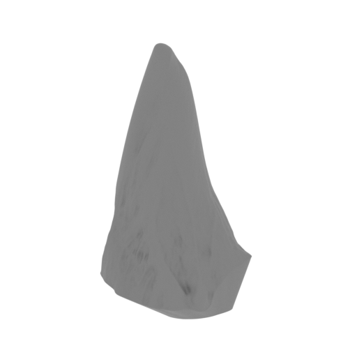 41_spike_1_L_FDM(repaired).stl