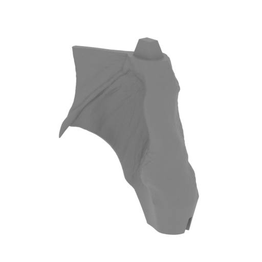 43_wing_small_R_1_FDM(repaired).stl