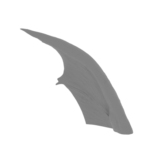 44_wing_small_R_2_FDM(repaired).stl