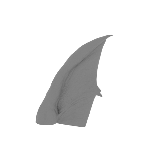 46_wing_small_L_2_FDM(repaired).stl