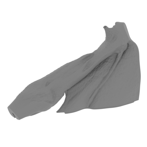 47_wing_1_R_FDM(repaired).stl