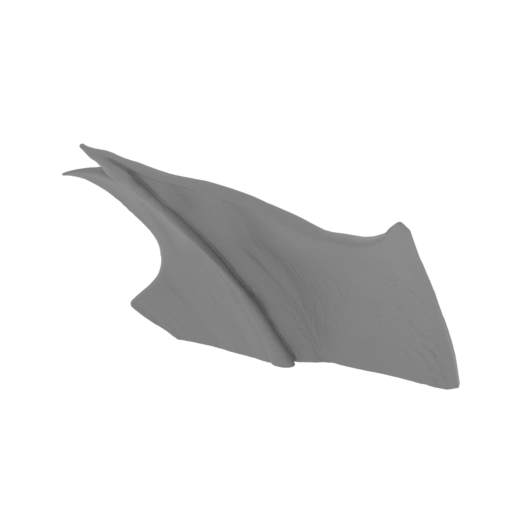 48_wing_2_R_FDM(repaired).stl