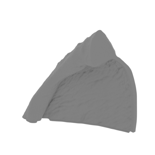 51_wing_5_R_FDM(repaired).stl