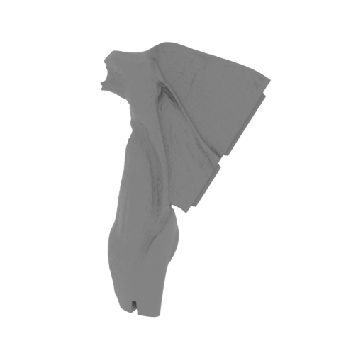 53_wing_1_L_FDM(repaired).stl