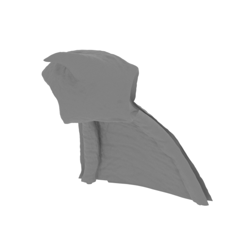 55_wing_3_L_FDM(repaired).stl