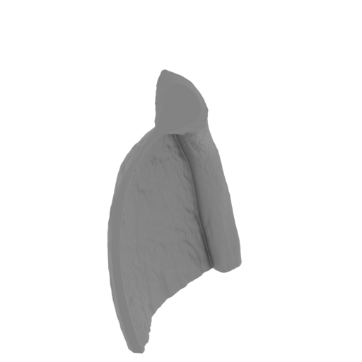 57_wing_5_L_FDM(repaired).stl