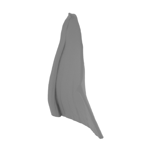 58_wing_6_L_FDM(repaired).stl