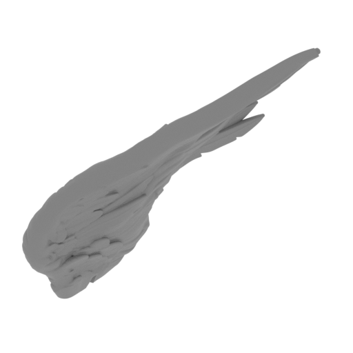 17_crow_wing_L_FDM(repaired).stl