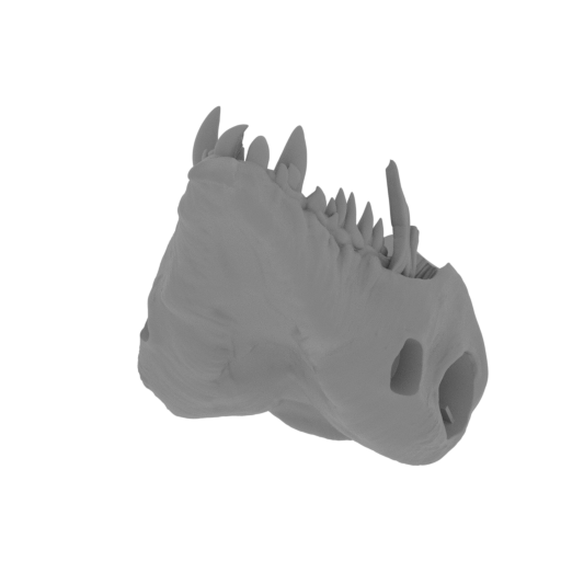 2_low_jaw_FDM(repaired).stl