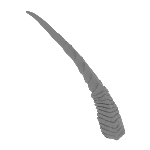 4_horn_top_L_FDM(repaired).stl