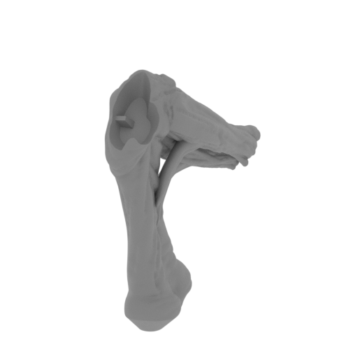 17_arm_L_FDM(repaired).stl