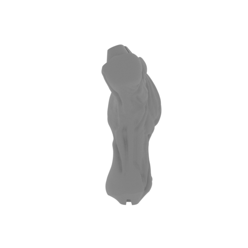 25_leg_L_2_FDM(repaired).stl