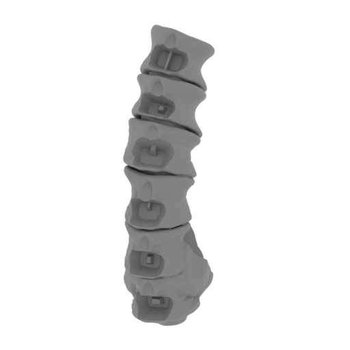 28_tail_1_FDM(repaired).stl