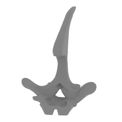 36_spike_top_4_FDM(repaired).stl