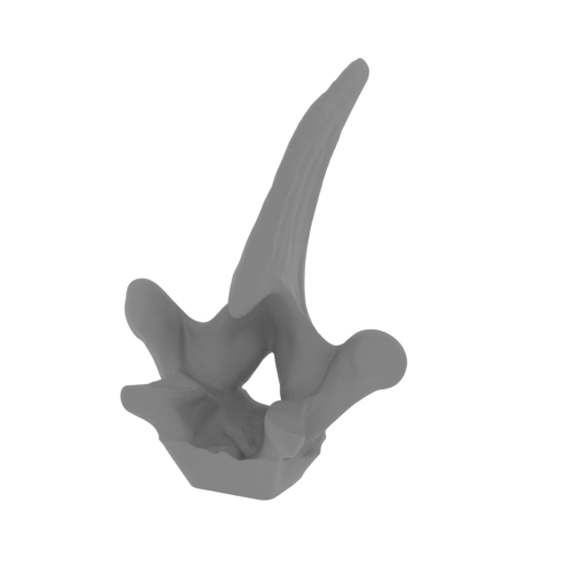 39_spike_top_7_FDM(repaired).stl