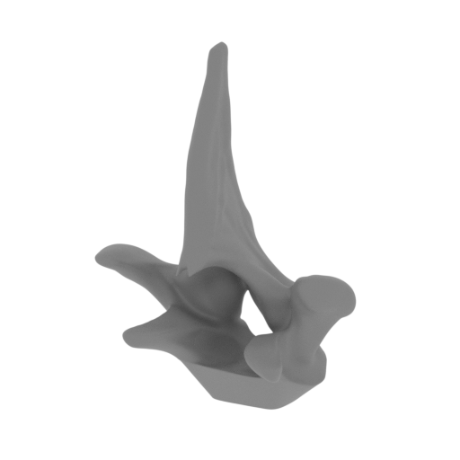 42_spike_top_10_FDM(repaired).stl