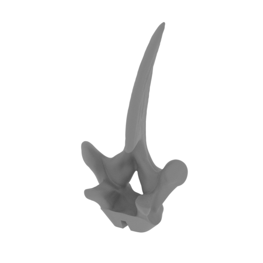 46_spike_top_14_FDM(repaired).stl